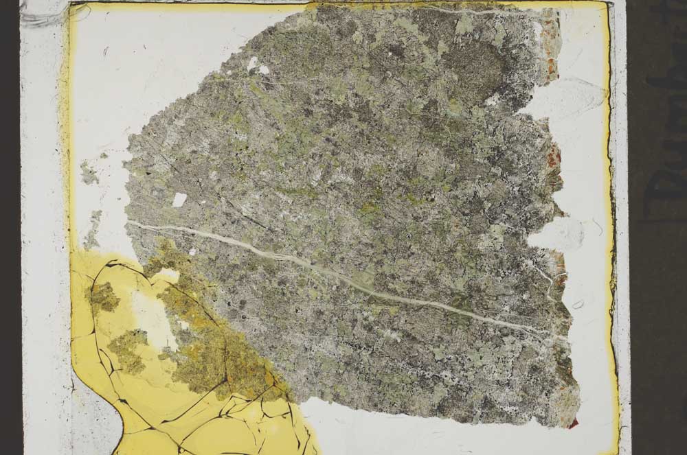 Plane Polarized, S41375