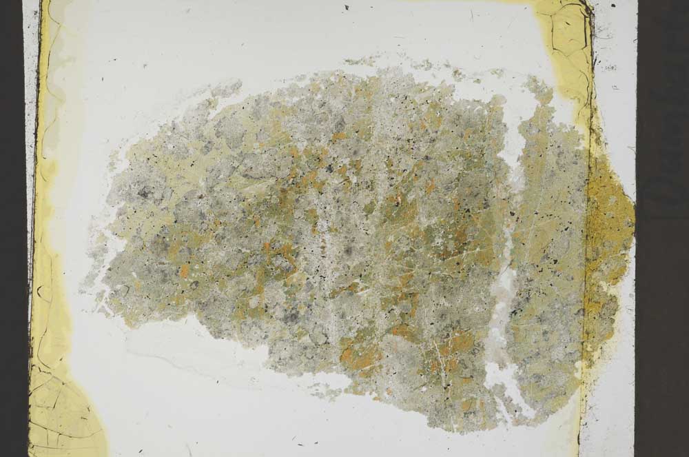 Plane Polarized, S41378