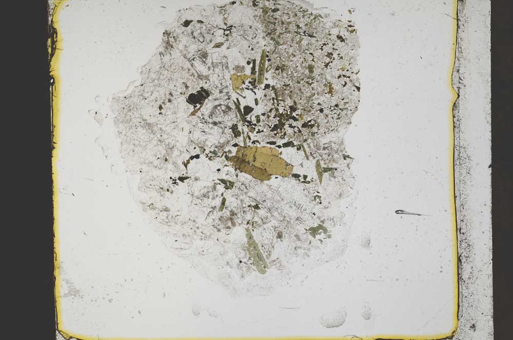 Plane Polarized, S41390