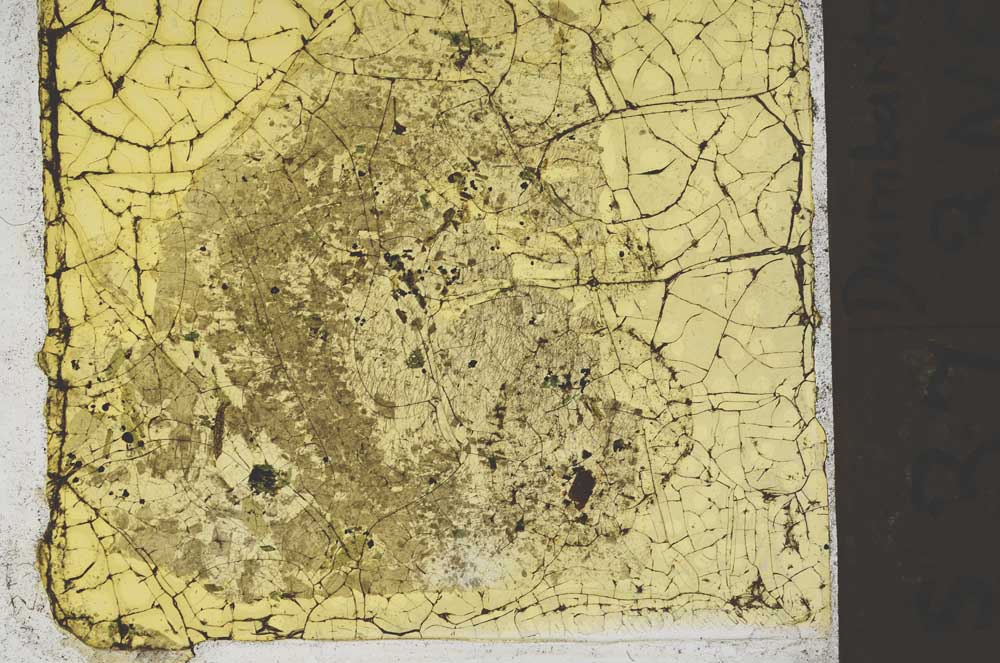 Plane Polarized, S41392