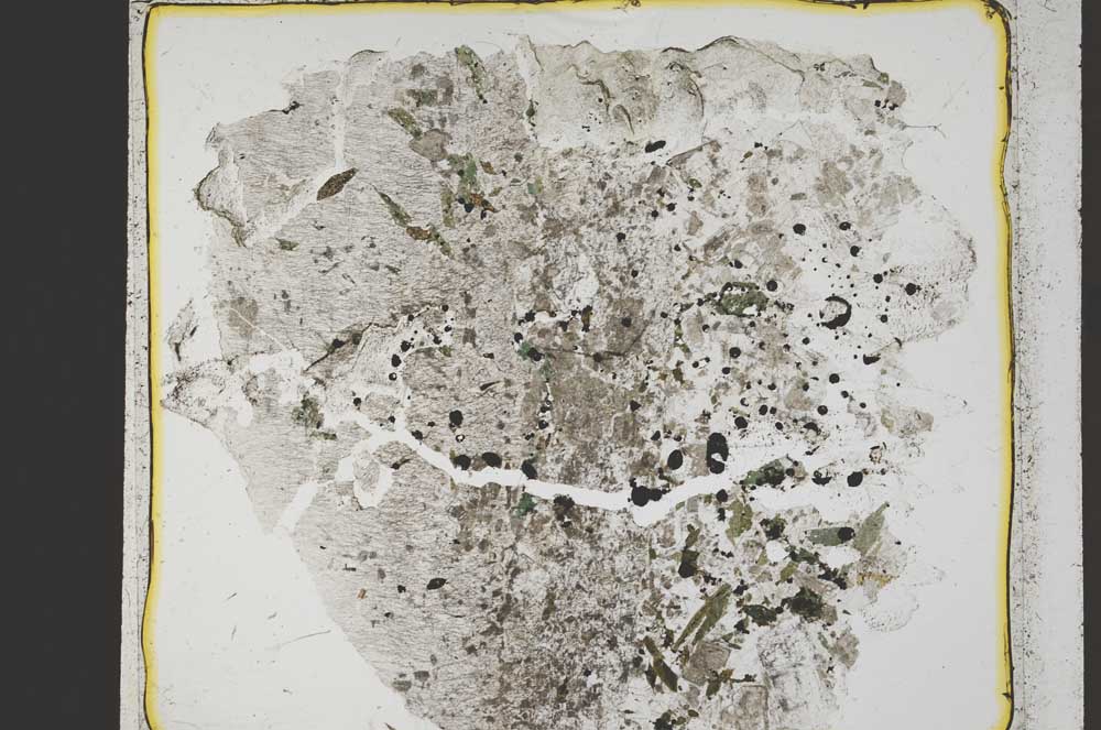 Plane Polarized, S41393