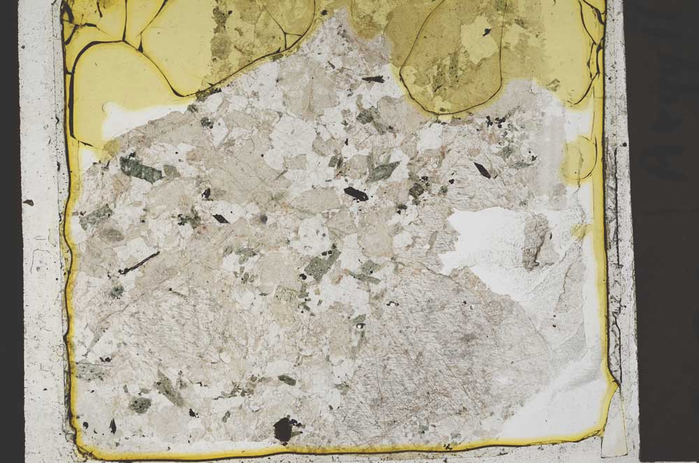 Plane Polarized, S41395