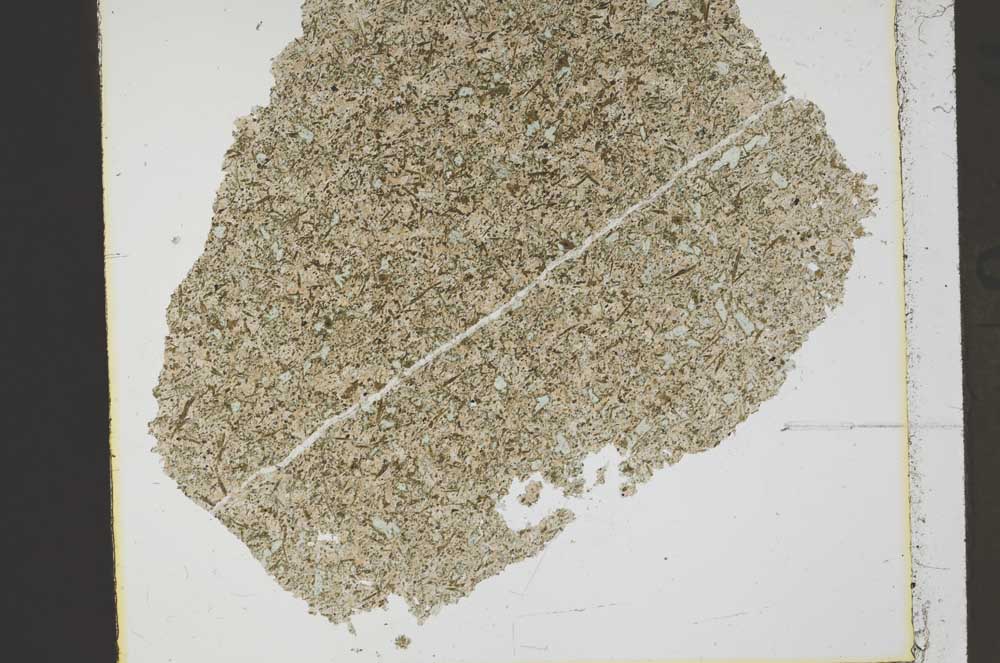 Plane Polarized, S41397