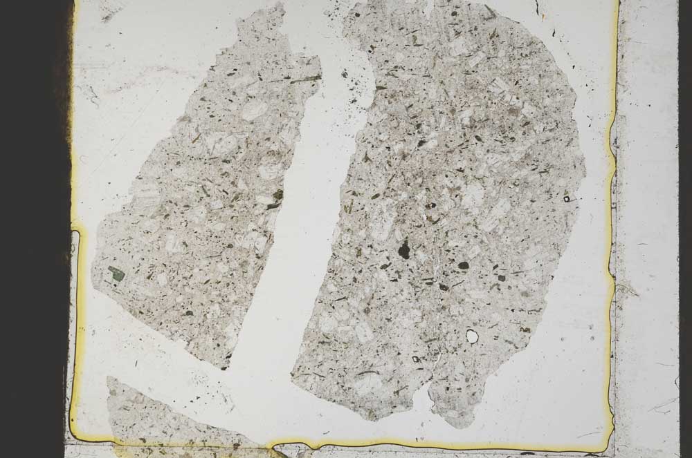 Plane Polarized, S41398