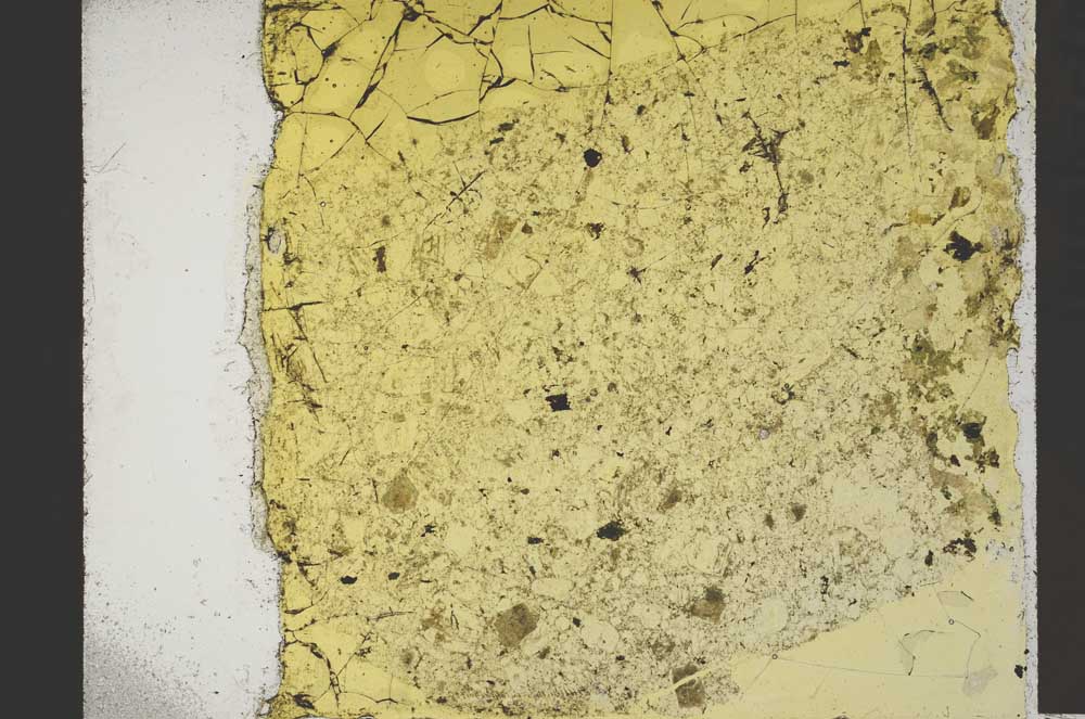 Plane Polarized, S41404