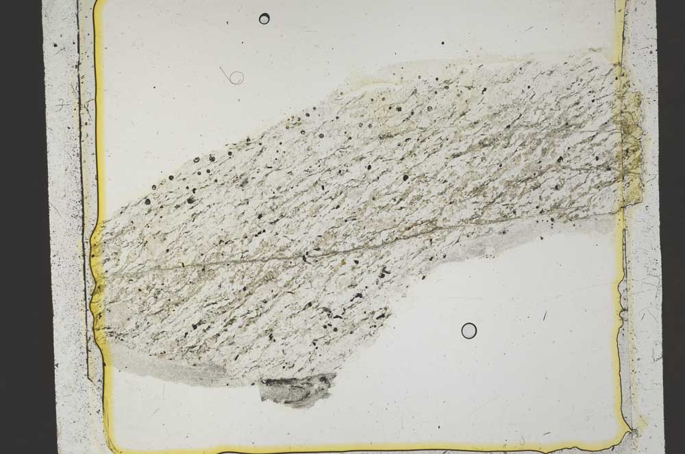 Plane Polarized, S41407