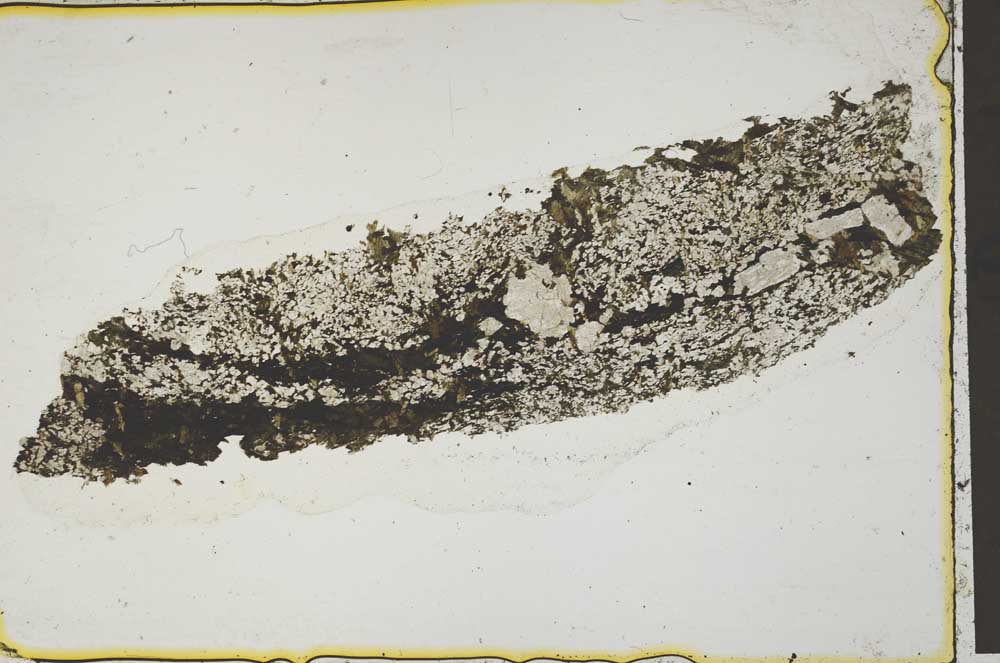 Plane Polarized, S41408