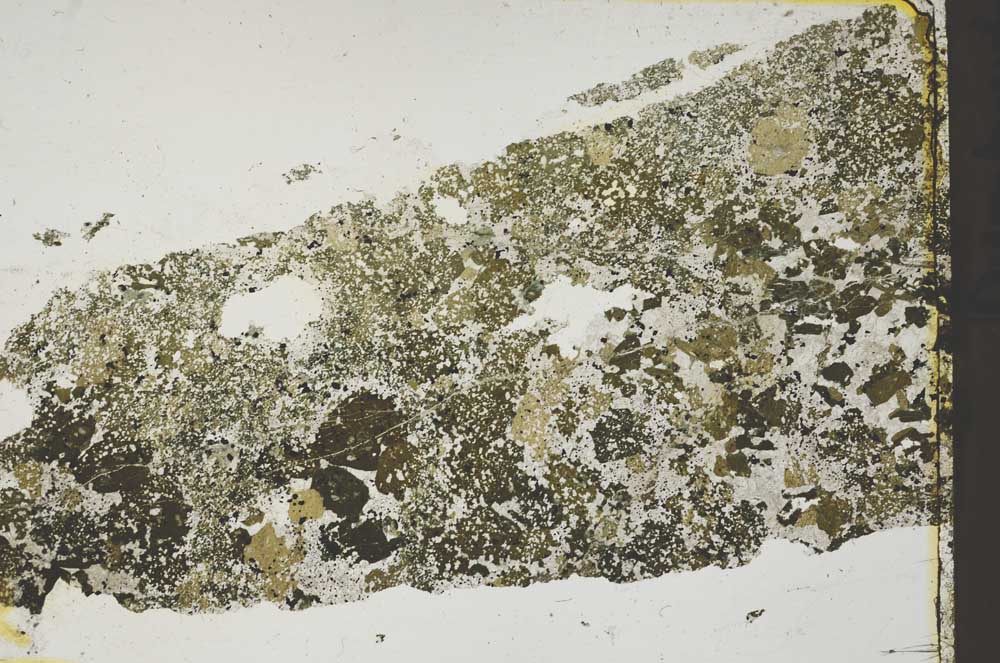 Plane Polarized, S41412