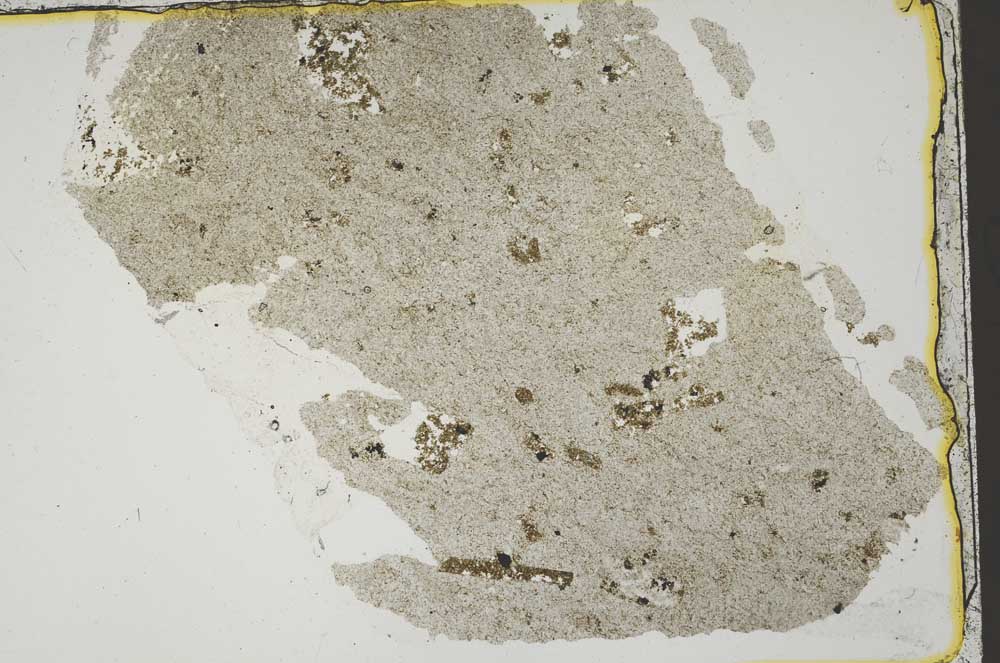 Plane Polarized, S41413