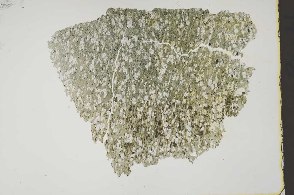 Plane Polarized, S41414