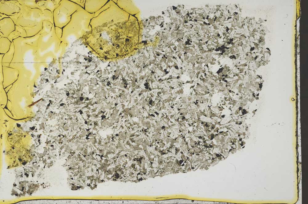 Plane Polarized, S41415