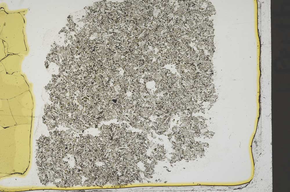 Plane Polarized, S41416