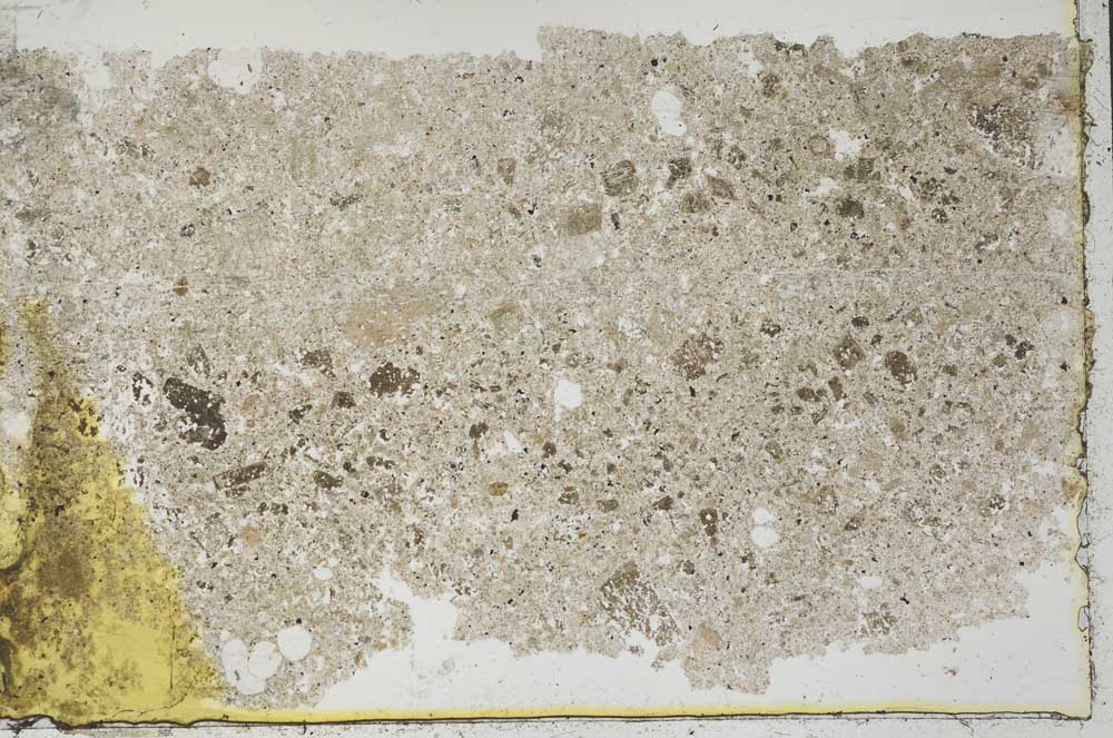 Plane Polarized, S41420