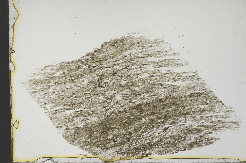 Plane Polarized, S41422