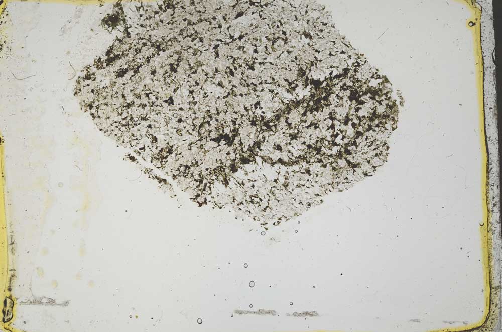 Plane Polarized, S41425