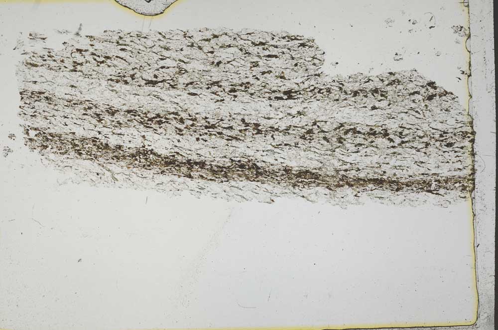 Plane Polarized, S41427