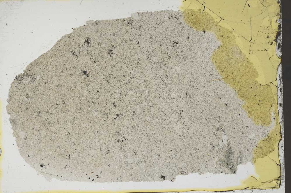 Plane Polarized, S41428