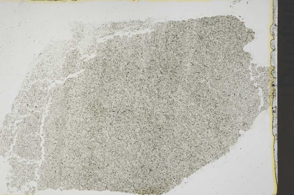 Plane Polarized, S41440