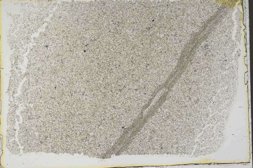 Plane Polarized, S41441