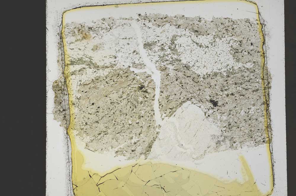 Plane Polarized, S41443