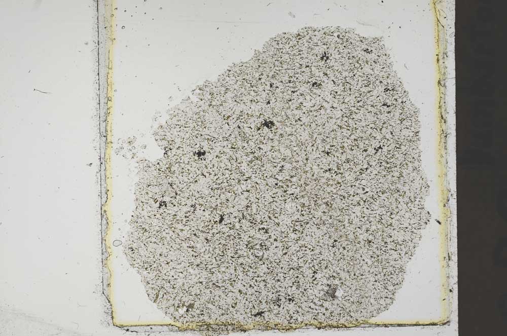 Plane Polarized, S41444