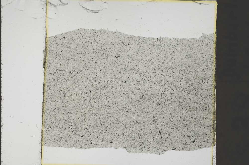 Plane Polarized, S41446