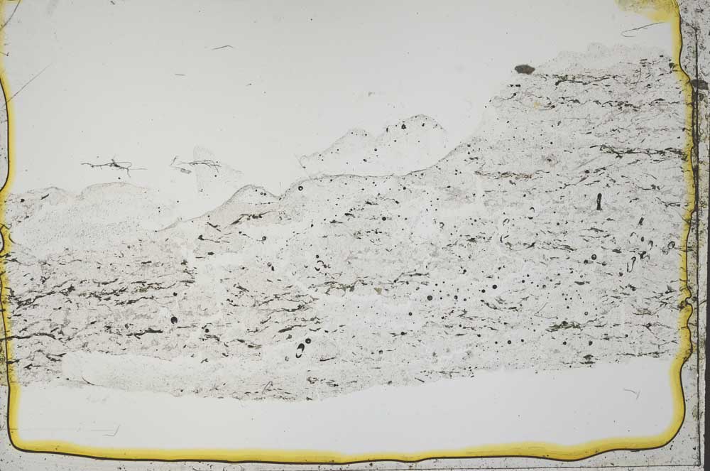 Plane Polarized, S41447