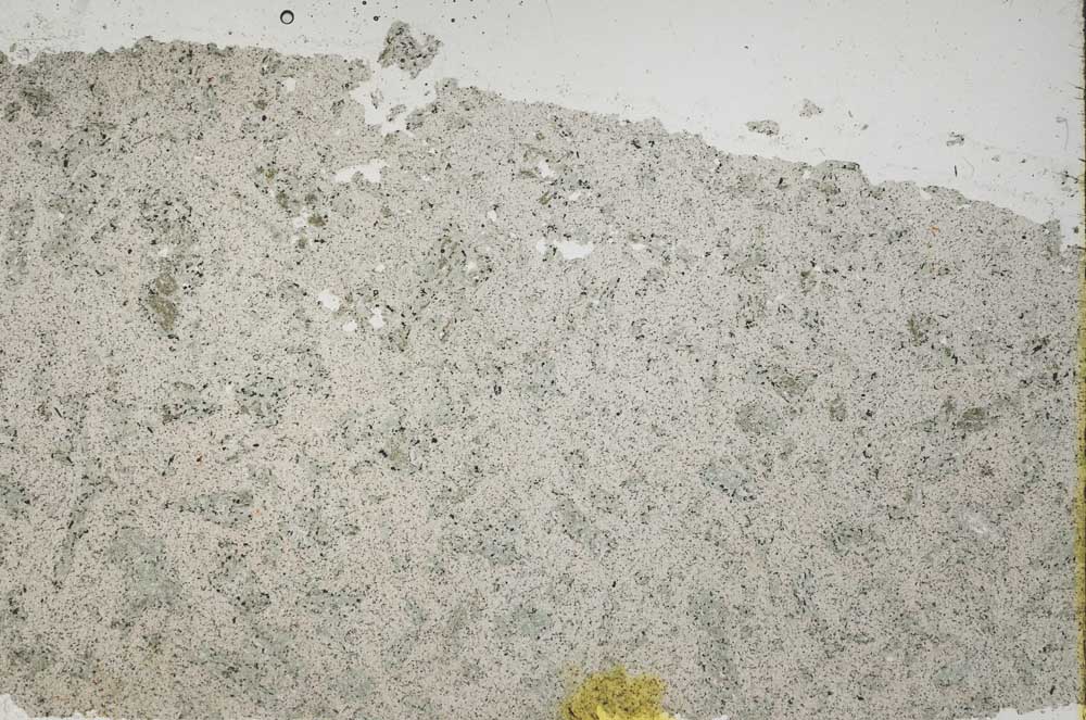 Plane Polarized, S41448