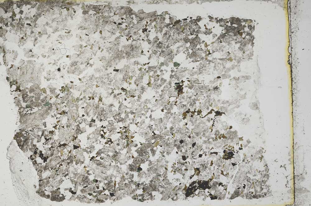 Plane Polarized, S41452