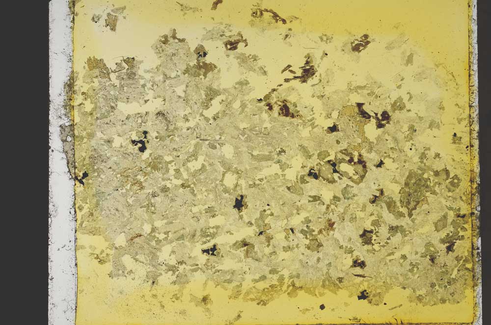 Plane Polarized, S41456