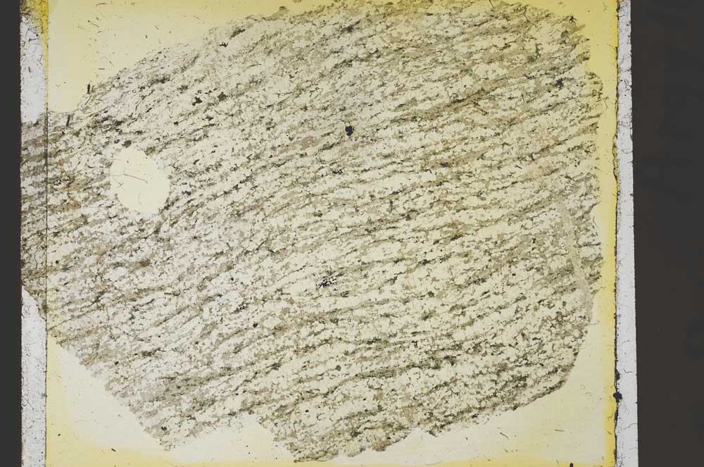 Plane Polarized, S41458