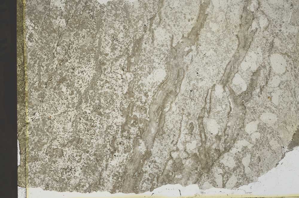 Plane Polarized, S41470