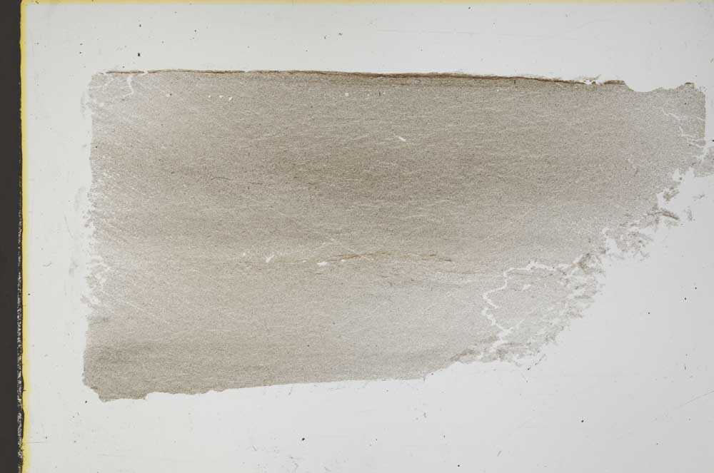 Plane Polarized, S41488/A