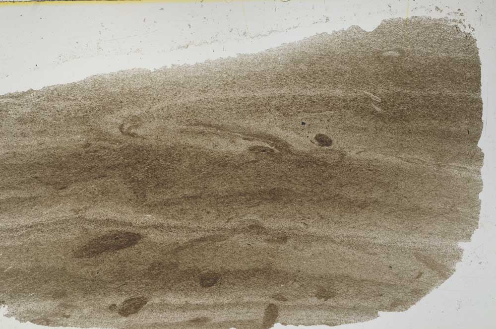 Plane Polarized, S41490