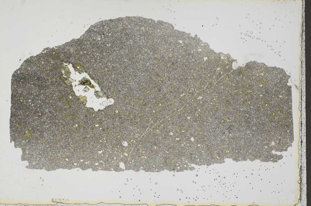 Plane Polarized, S41502