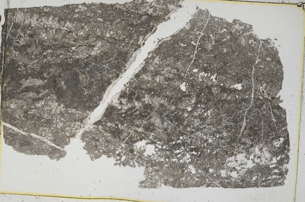 Plane Polarized, S41519