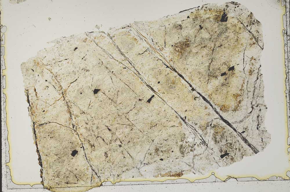 Plane Polarized, S41528