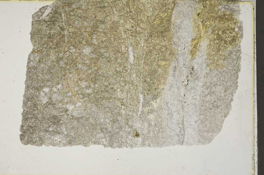 Plane Polarized, S41529