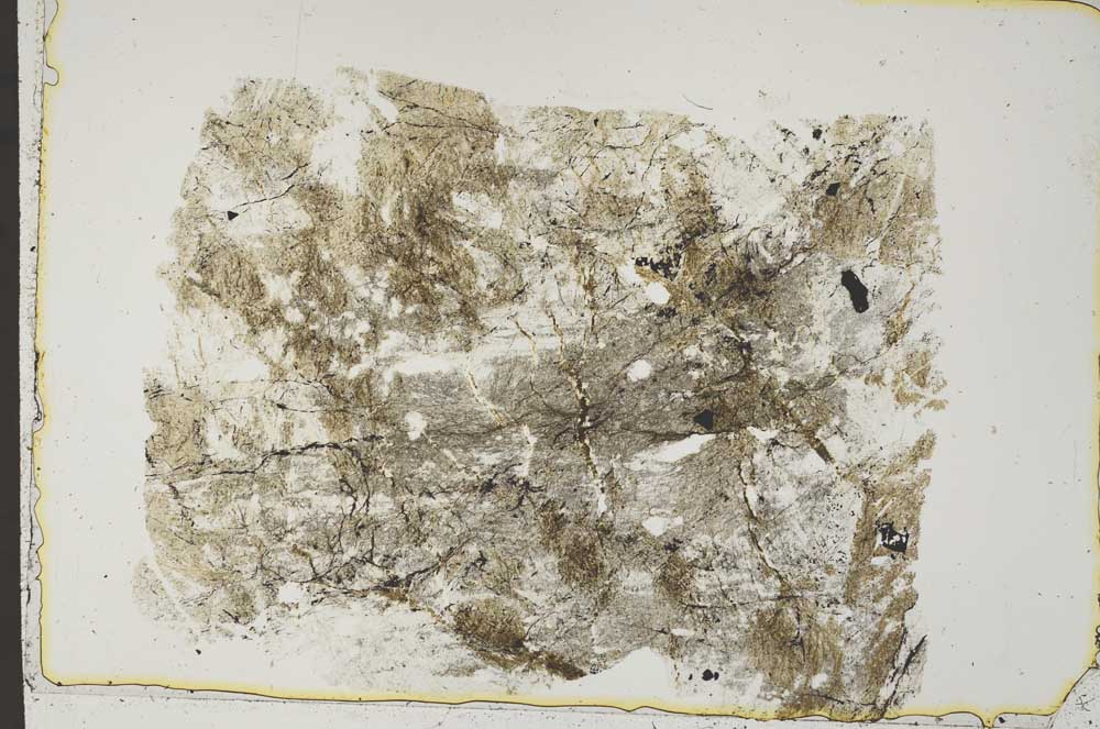 Plane Polarized, S41533