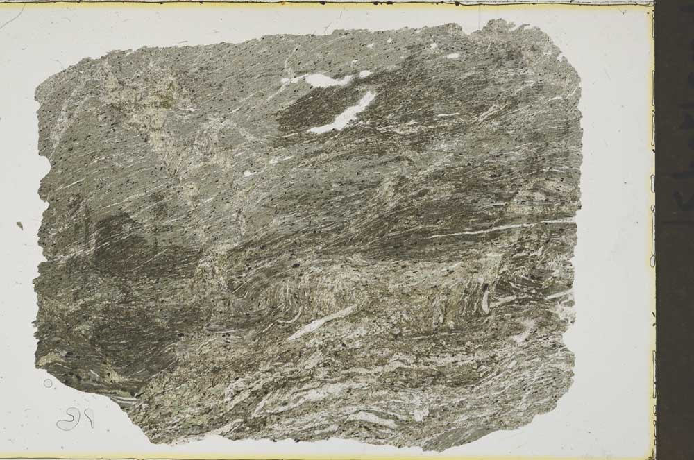 Plane Polarized, S41537
