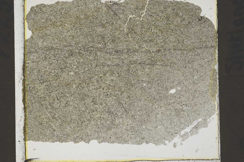 Plane Polarized, S41538