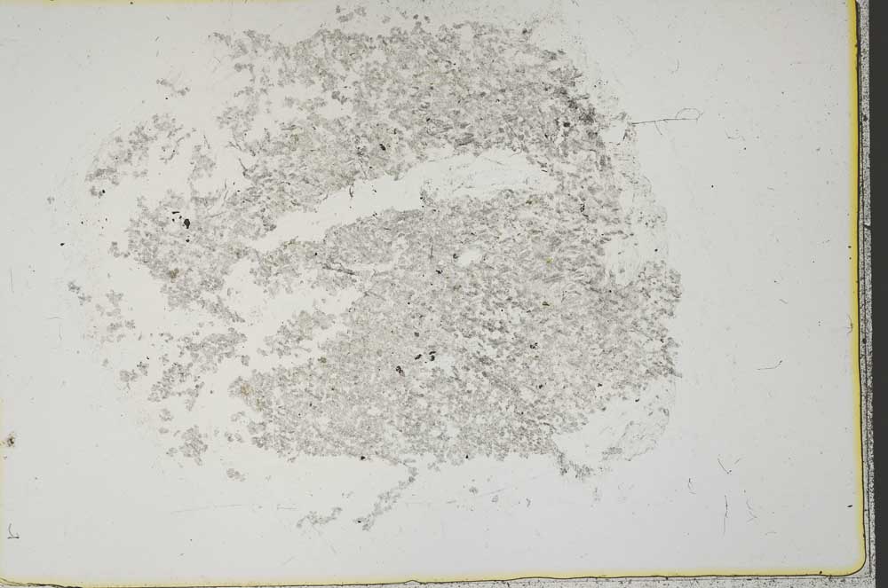 Plane Polarized, S41543