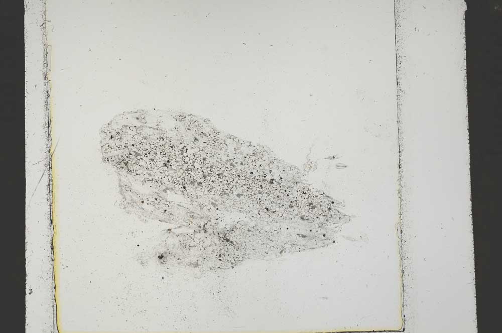 Plane Polarized, S41544