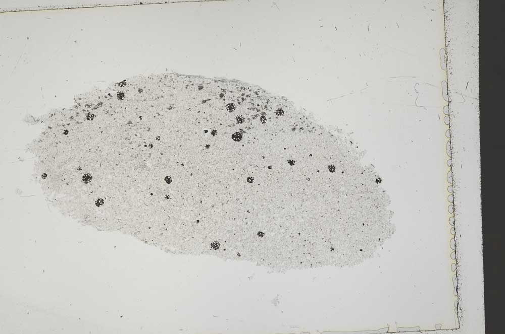 Plane Polarized, S41548