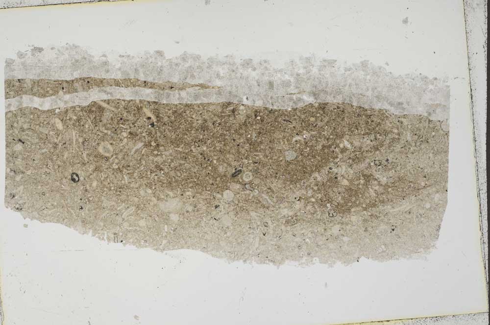 Plane Polarized, S41551