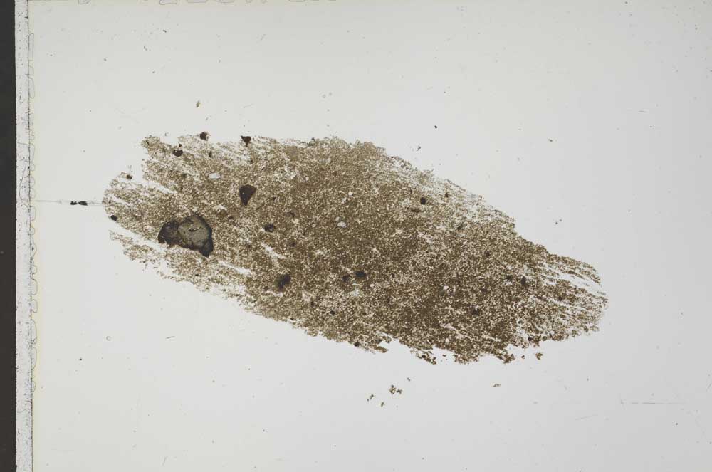 Plane Polarized, S41553