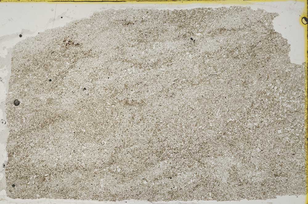 Plane Polarized, S41554/A