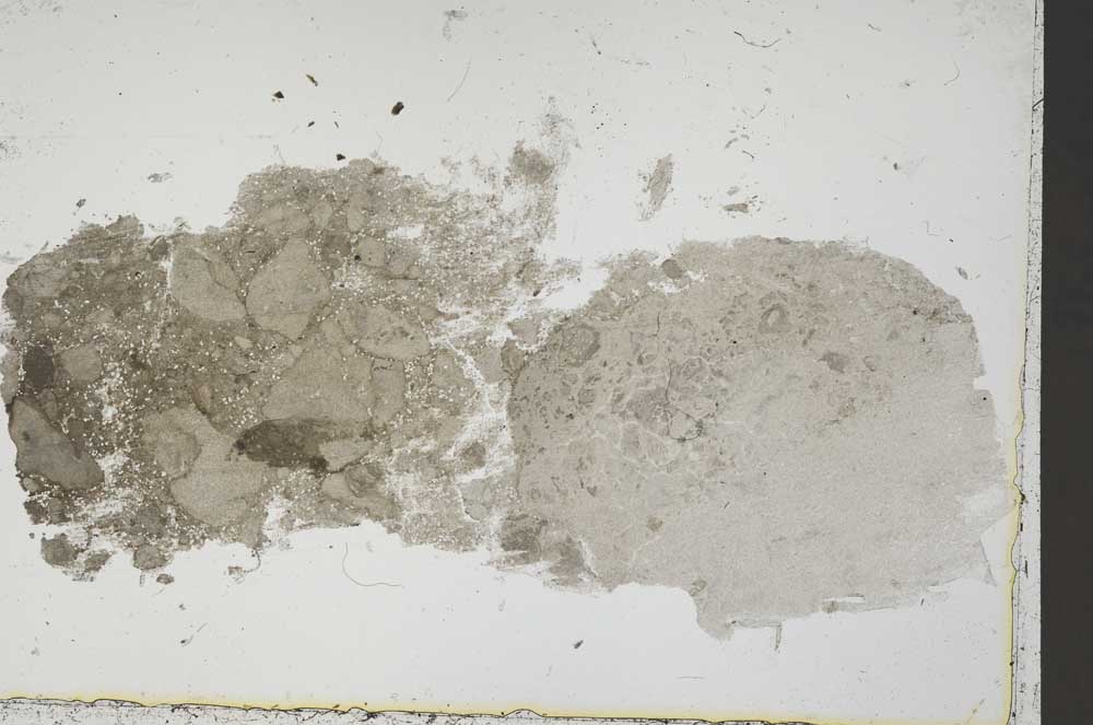 Plane Polarized, S41556