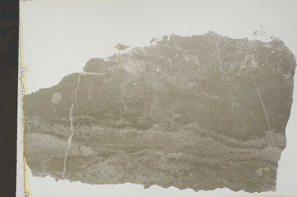 Plane Polarized, S41557
