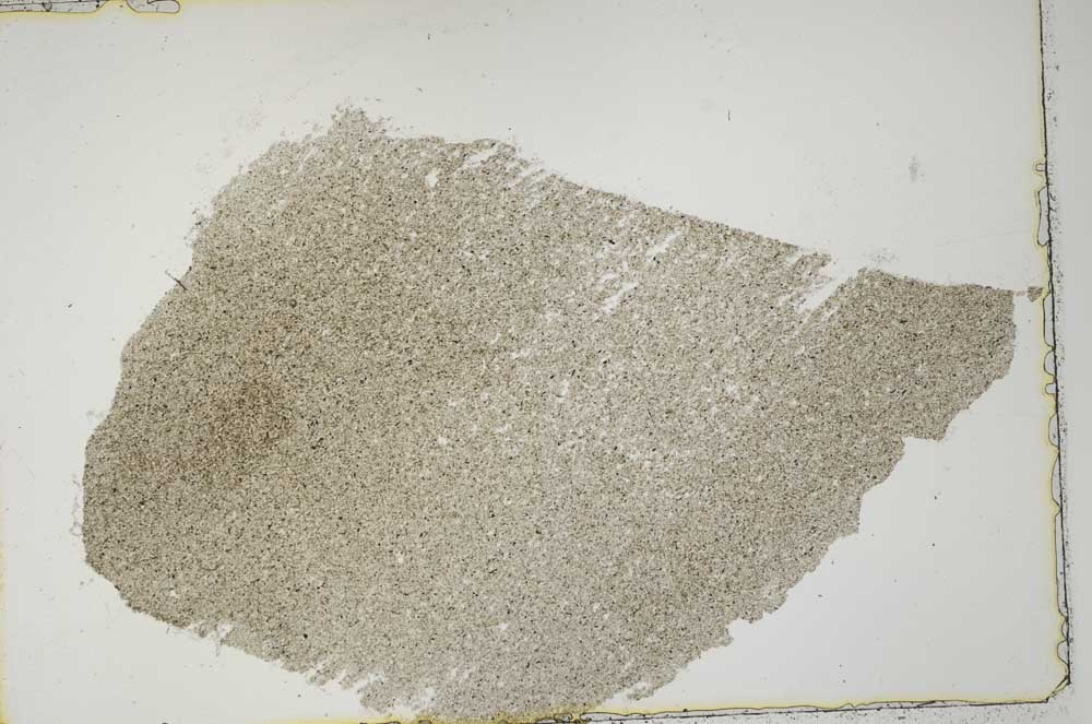 Plane Polarized, S41561